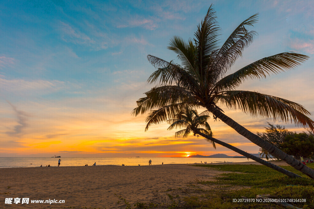 海边椰树映夕阳美景