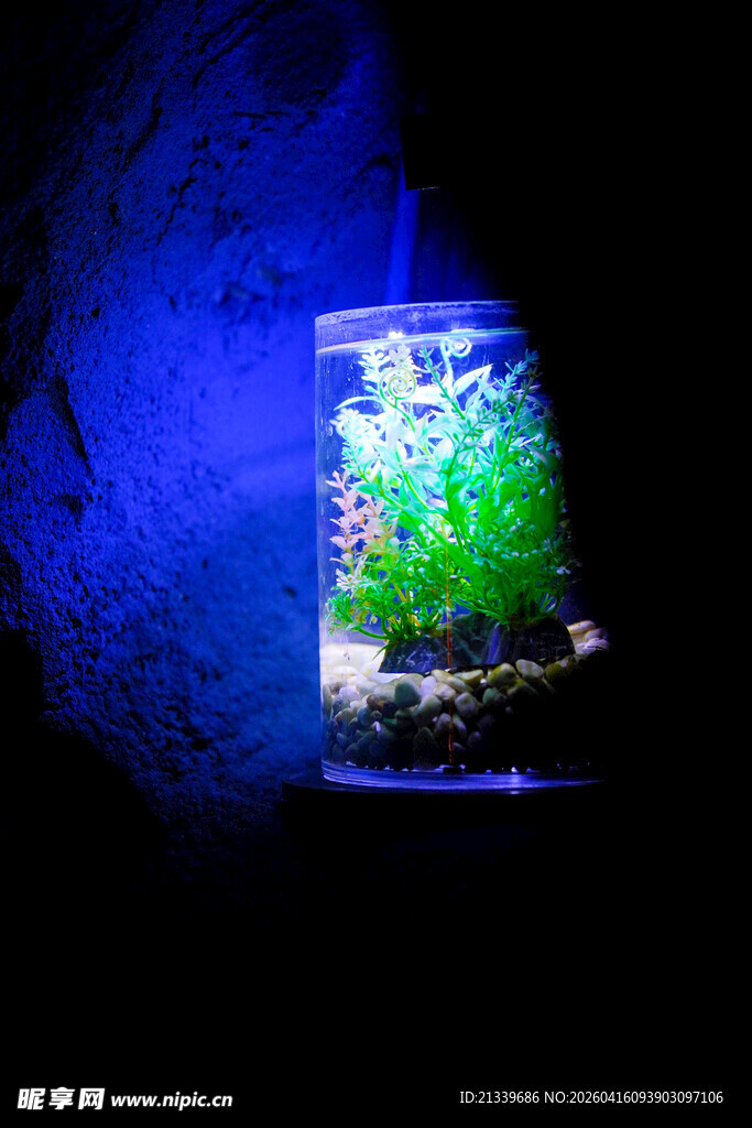 海底世界造景