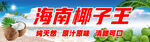 海南椰子王