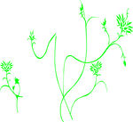 手绘绿色藤蔓植物线条图