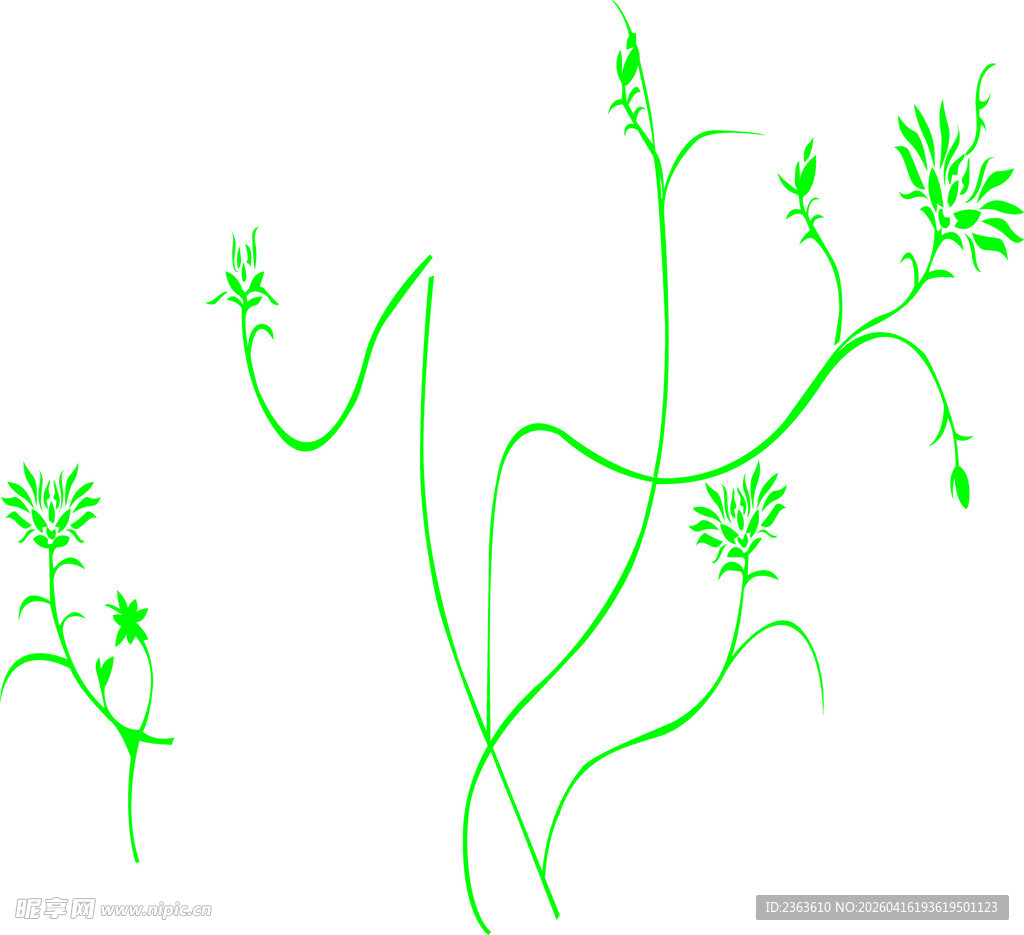 手绘绿色藤蔓植物线条图