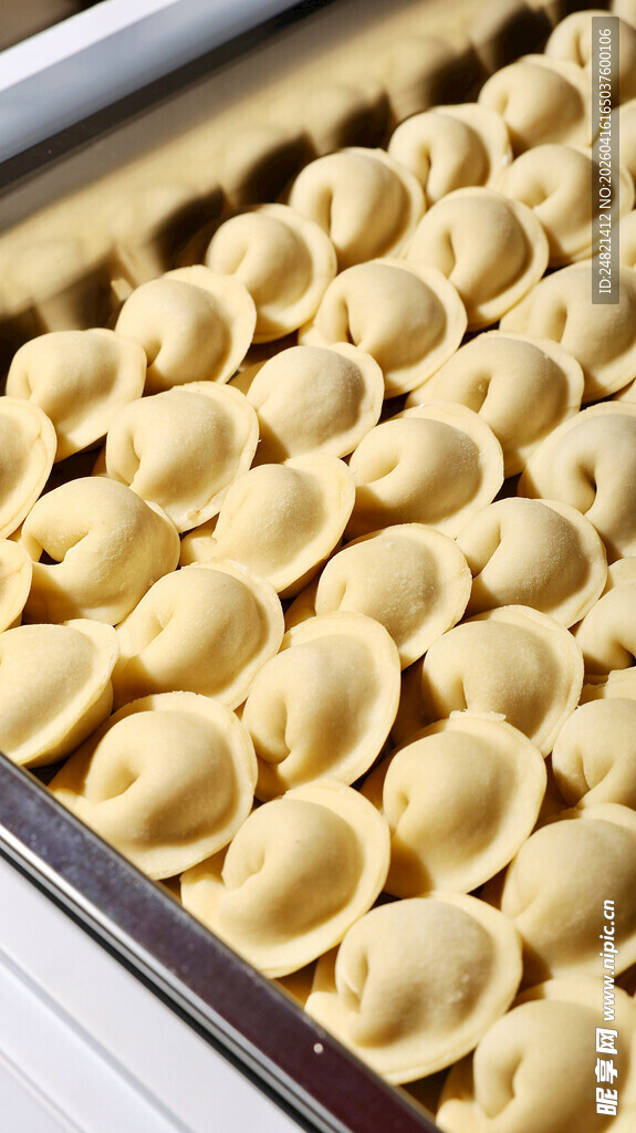 托盘上排列整齐的美味饺子