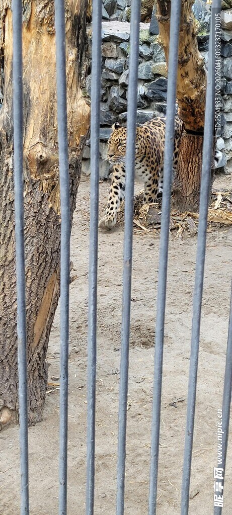 带刺铁丝网围栏