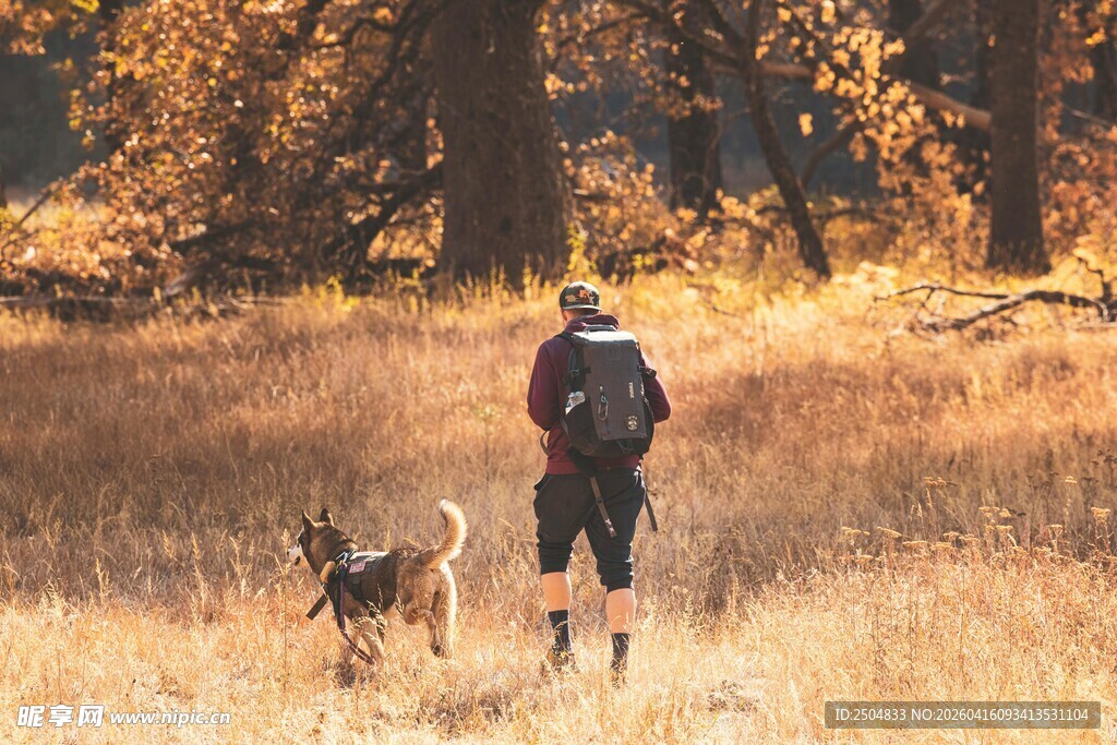 秋日旷野一人一犬漫步