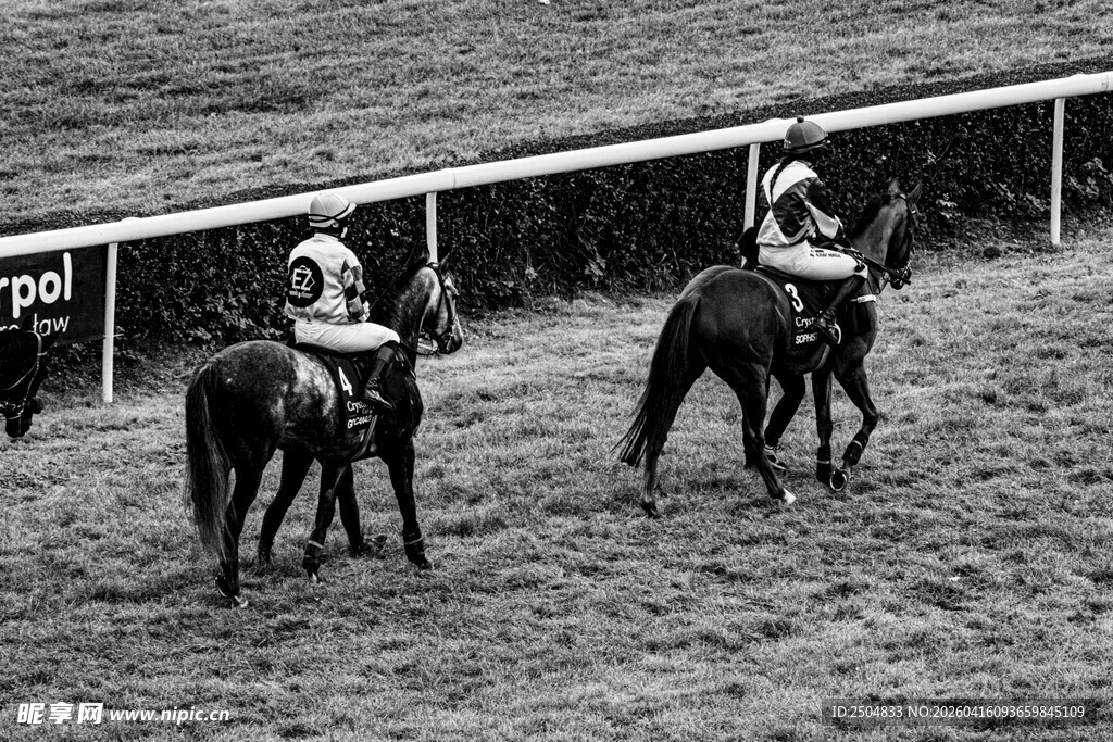 赛马场上的骑手与骏马