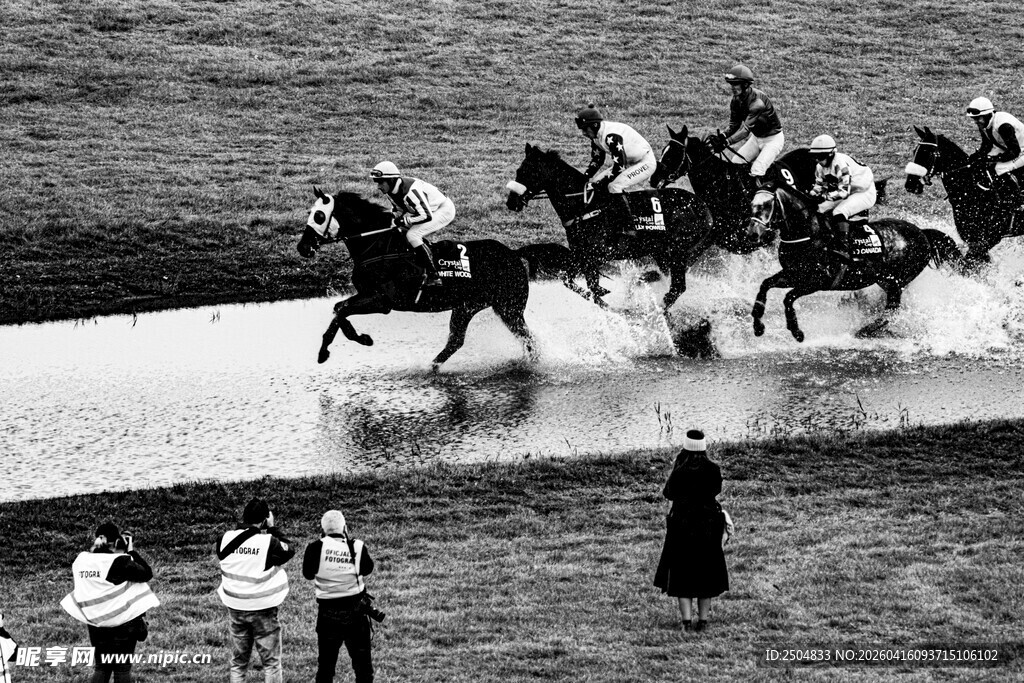 赛马现场观众观赛场景