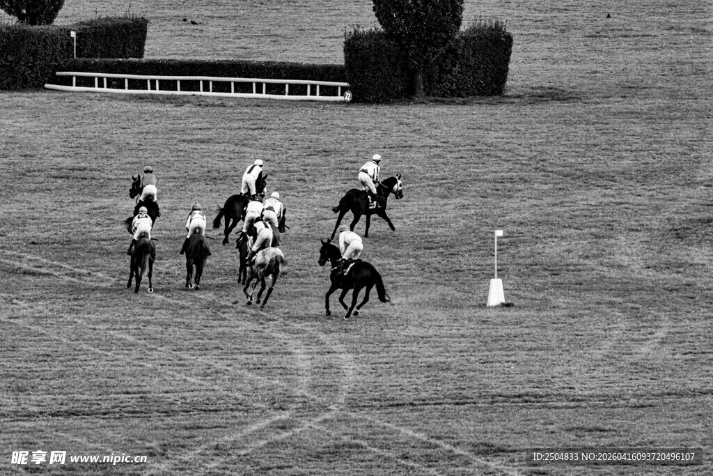 马术比赛中的骑手与马匹