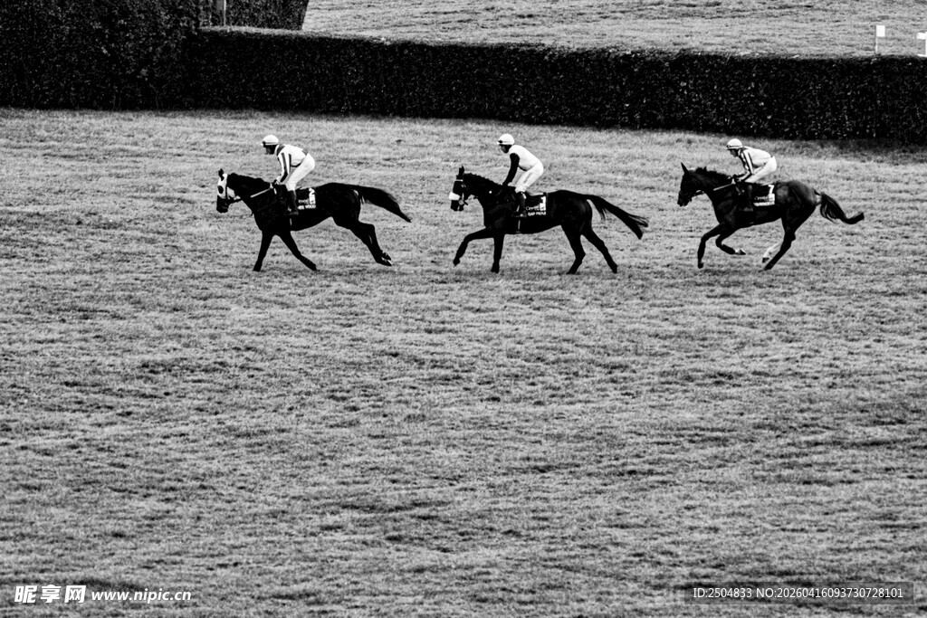 赛马场上马匹奔腾