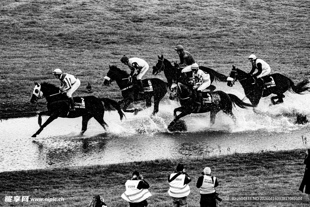 赛马奔腾于涉水赛道