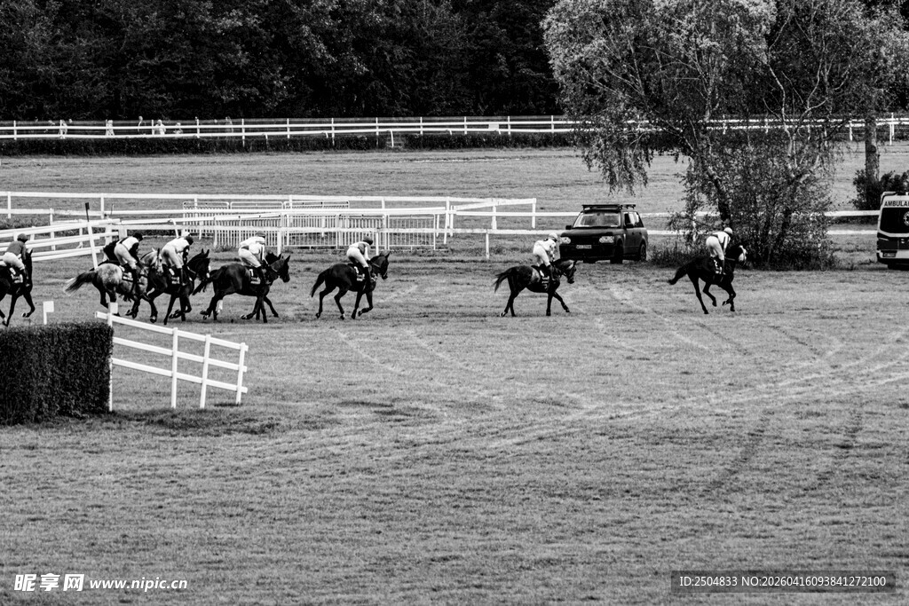 户外马场马匹奔跑场景