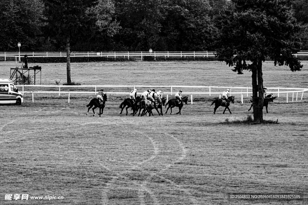 赛马场上的马匹奔跑场景