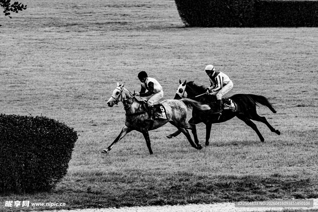 赛马场上骑手策马奔腾