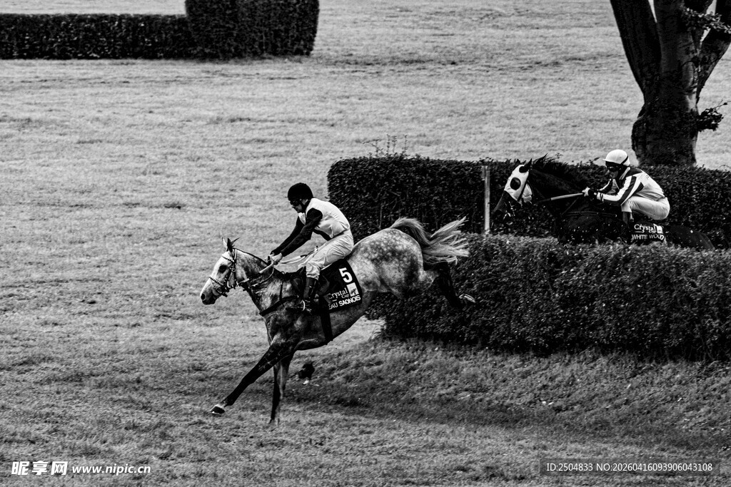 骑手策马跨越障碍瞬间