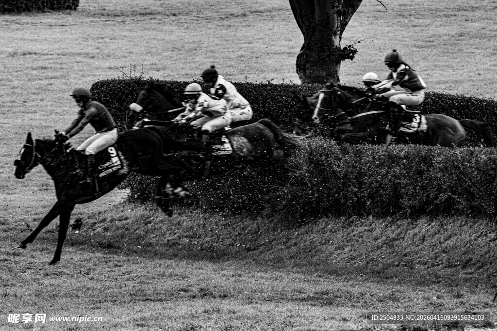 马术障碍赛精彩瞬间