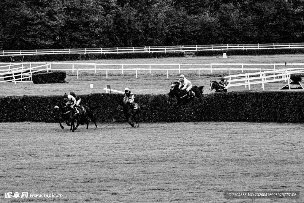 赛马场景