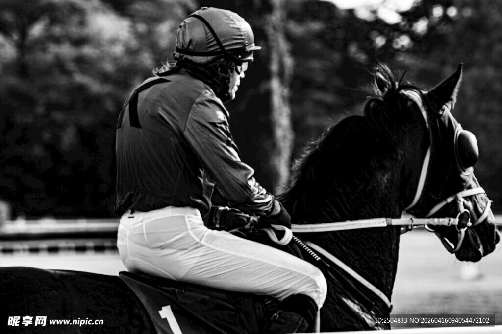 骑手骑马跨越障碍瞬间