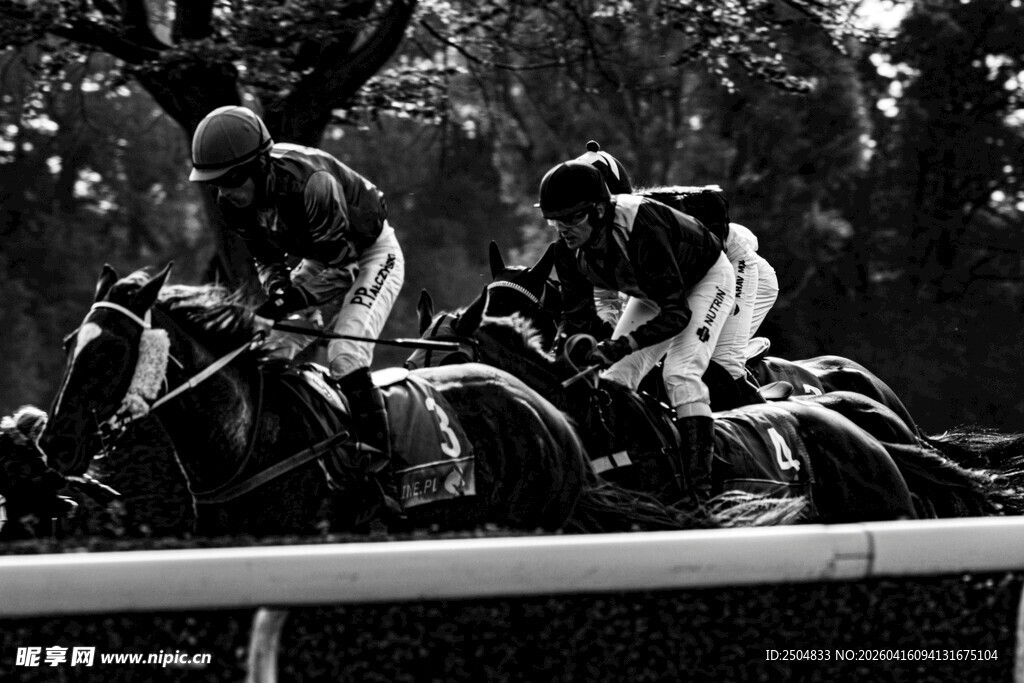 赛马激烈角逐瞬间