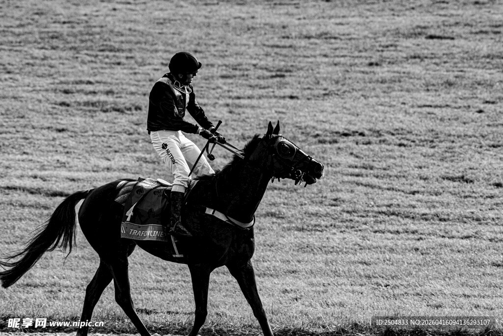 骑手策马驰骋草原