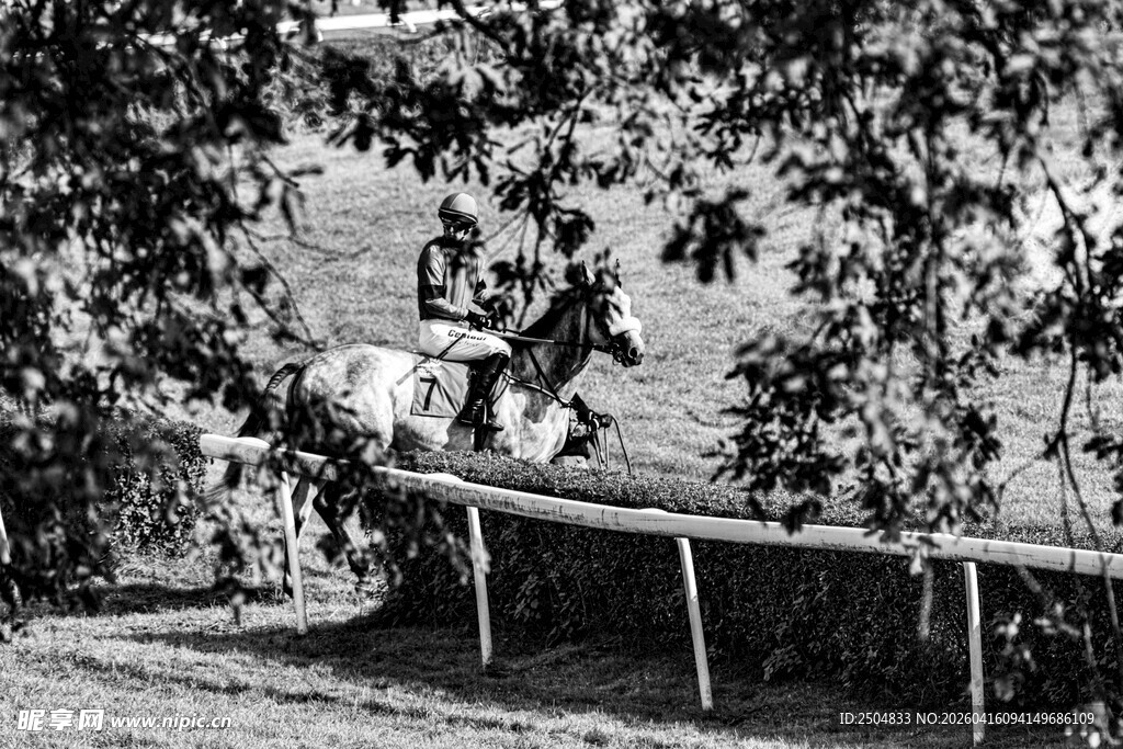 户外木质长椅与绿植景观