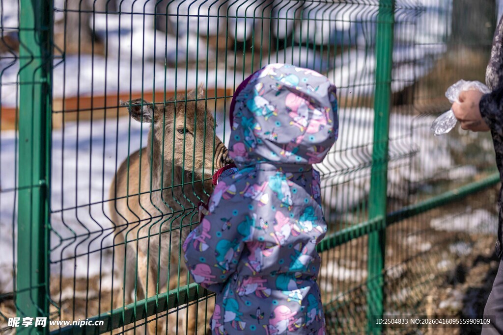 身着迷彩服的小孩在围栏边