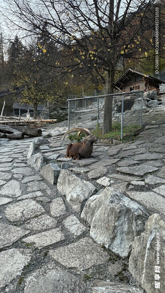 石板铺就的户外休闲小径