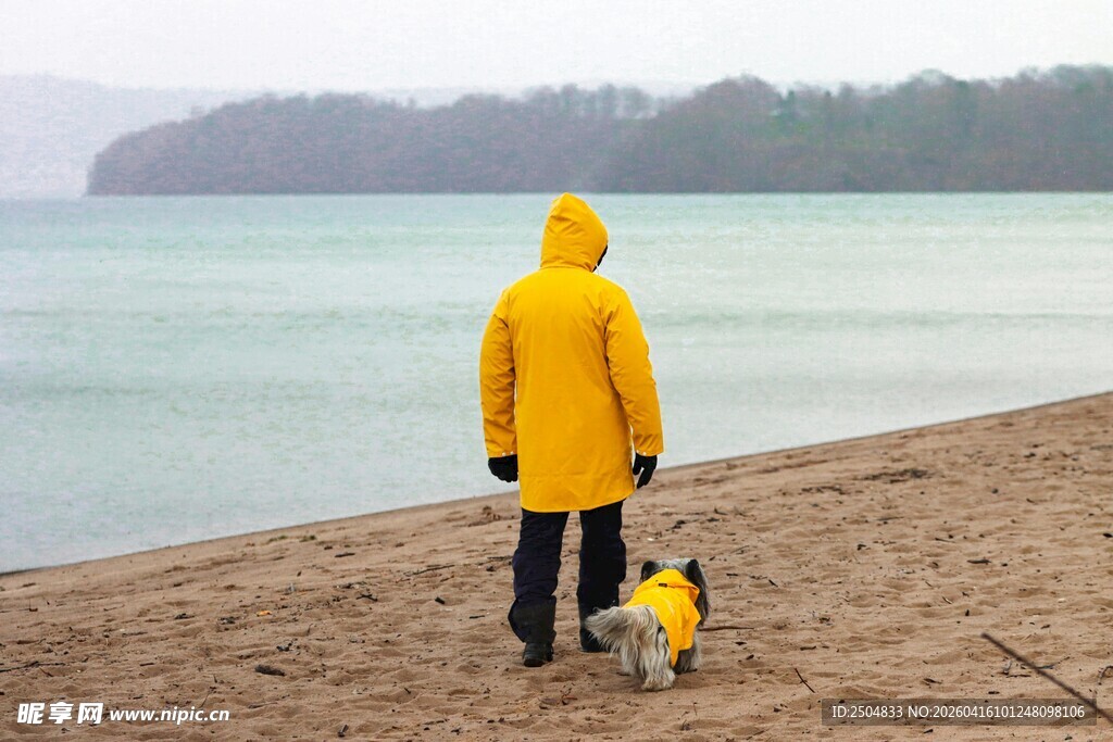 穿黄雨衣者海边遛狗