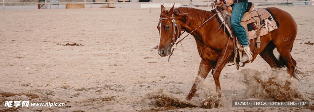骑手驭马驰骋沙地
