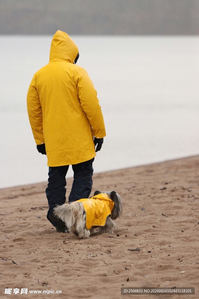 穿雨衣人与狗漫步沙滩