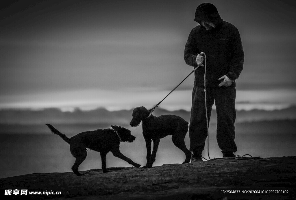 男子牵狗于海边岩石处