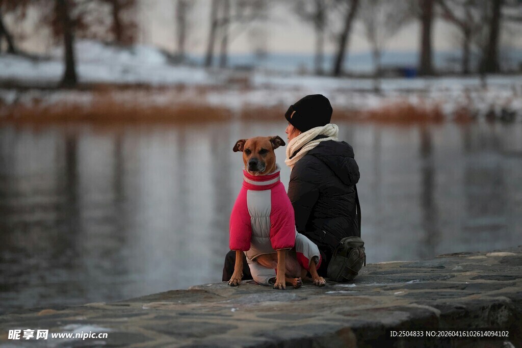 人与萌犬湖畔温馨相伴