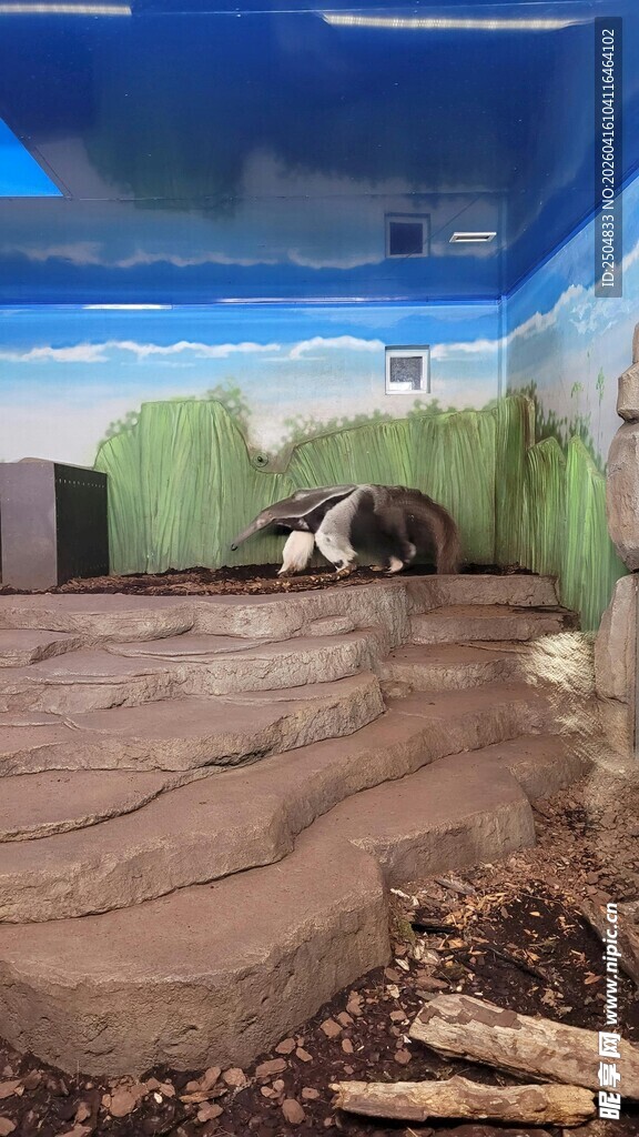 室内模拟自然动物栖息环境