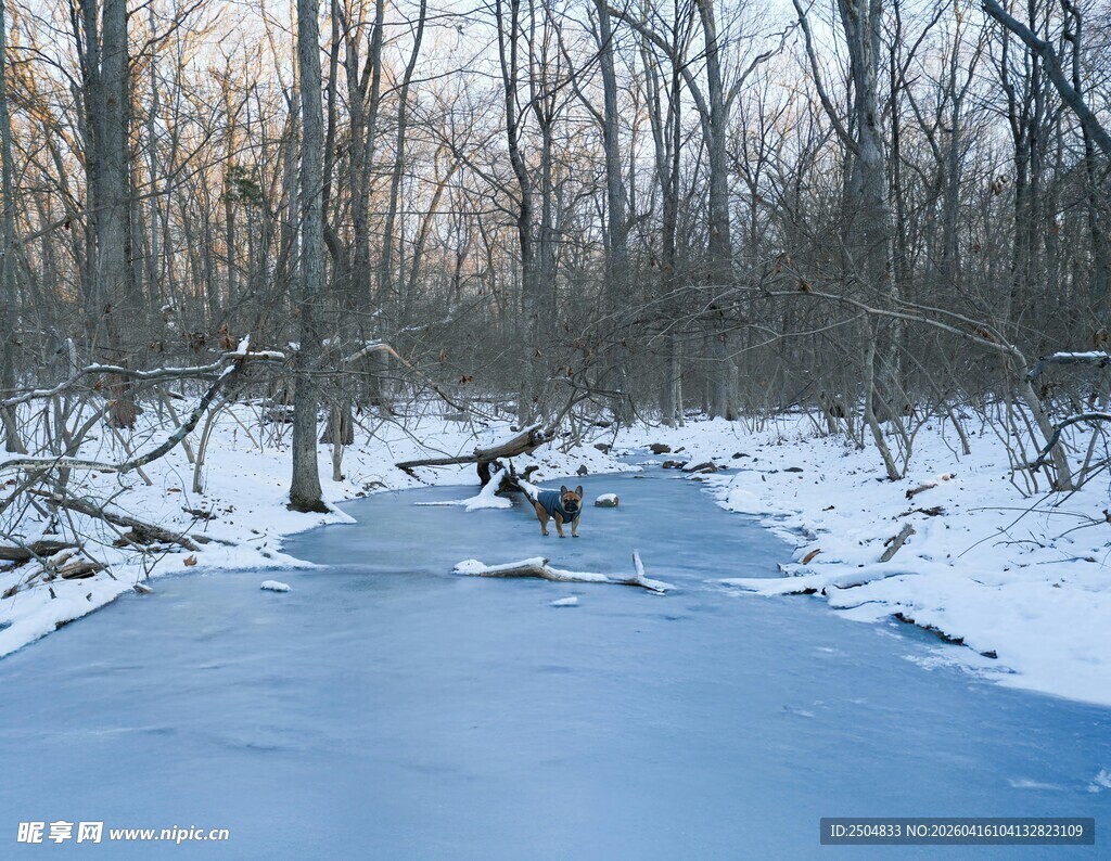 冬日冰封林间小河景象