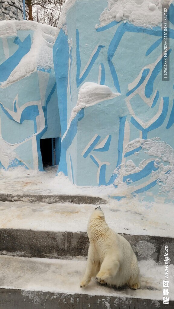 雪境中的北极熊