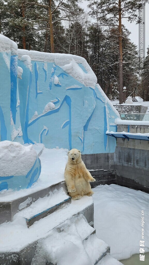 冰雪覆盖的蓝色建筑与雕塑