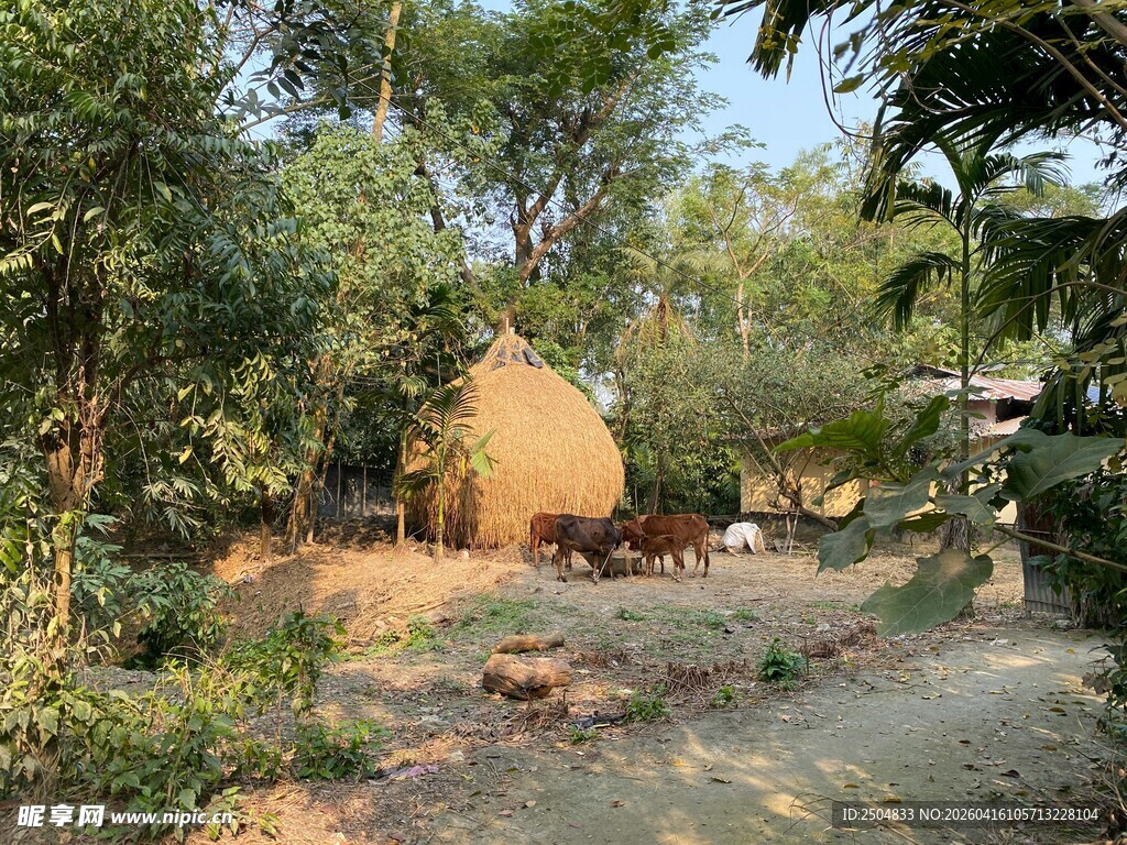 乡村林间小屋与自然景象