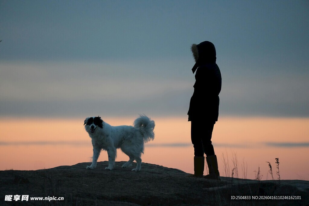 黄昏下人与狗的温馨时刻