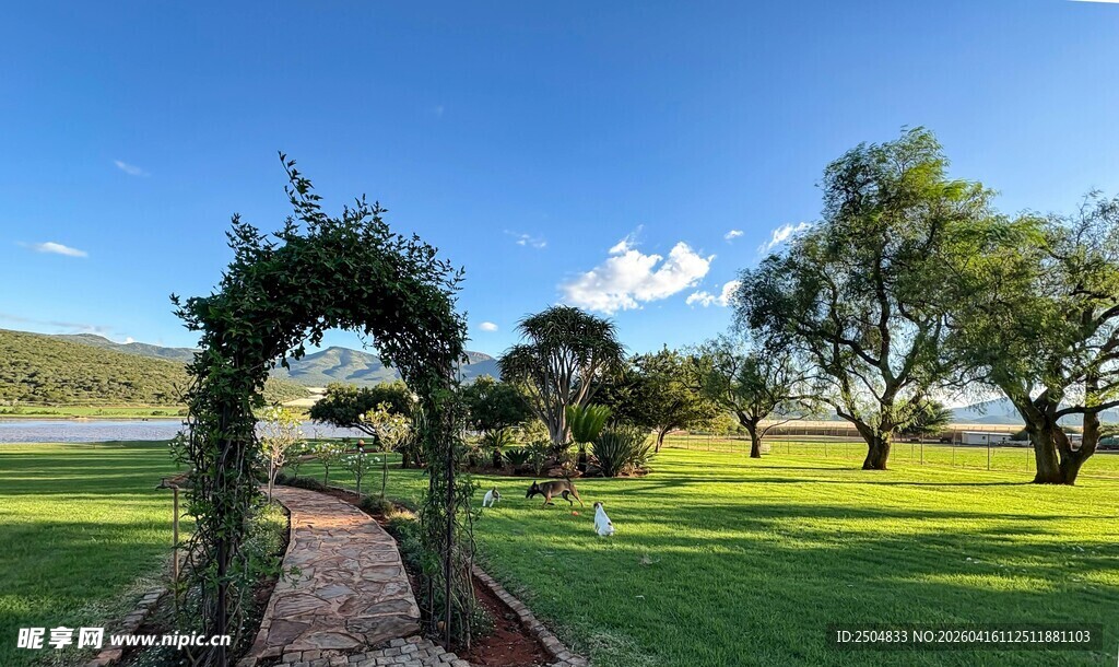 田园拱形花架下的宁静小径