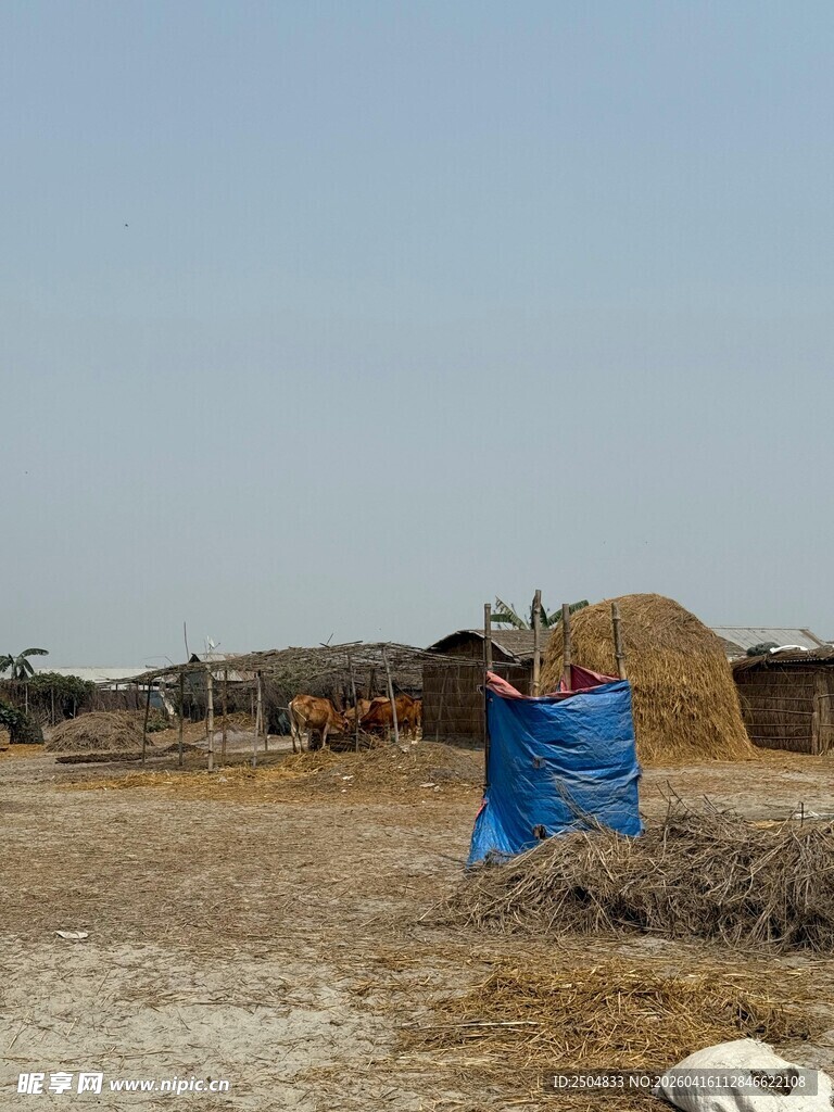 田间劳作的蓝衣农妇