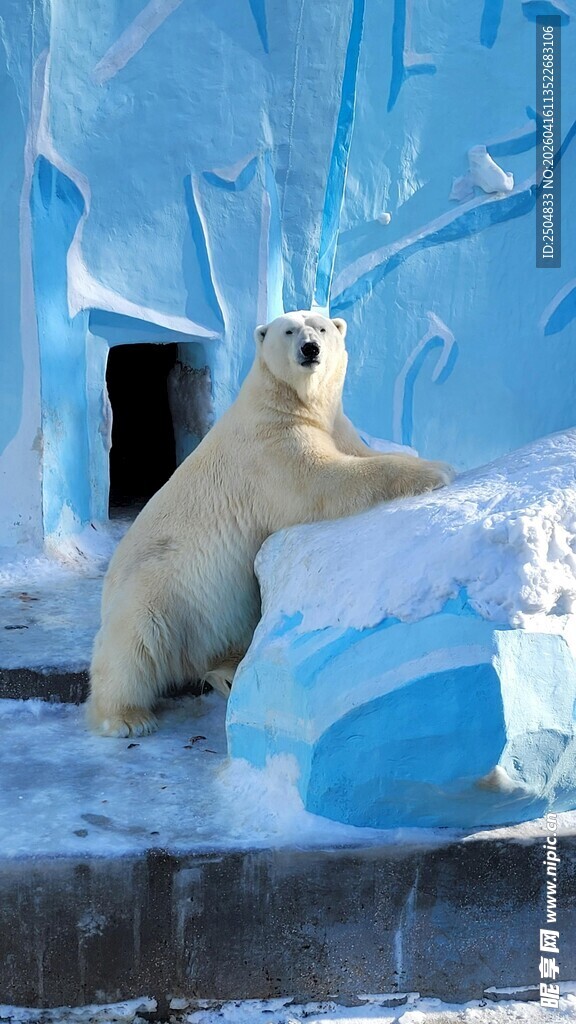 冰屋旁的北极熊