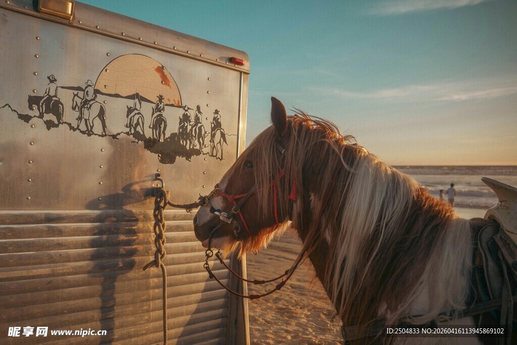 马与绘有图案的金属物