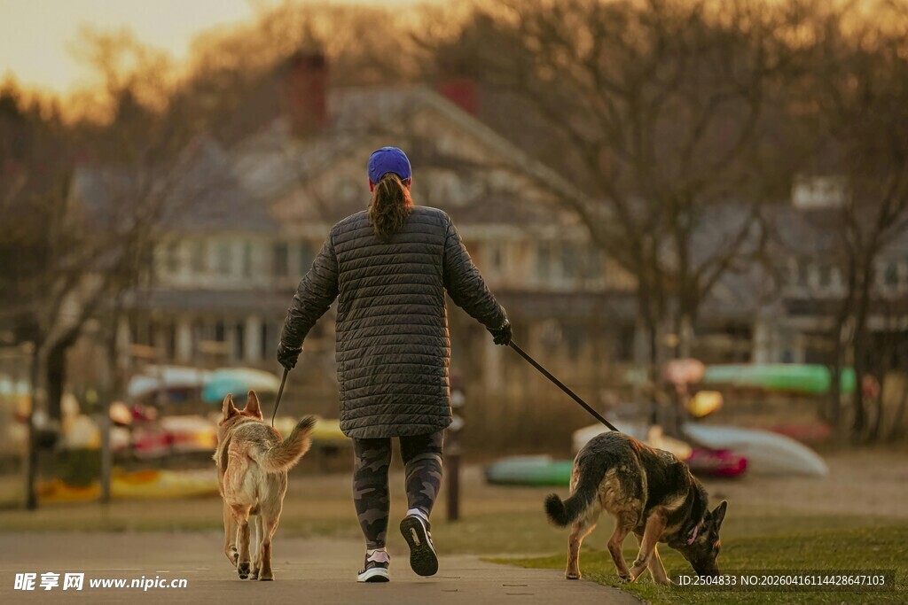 男子黄昏时牵两犬散步