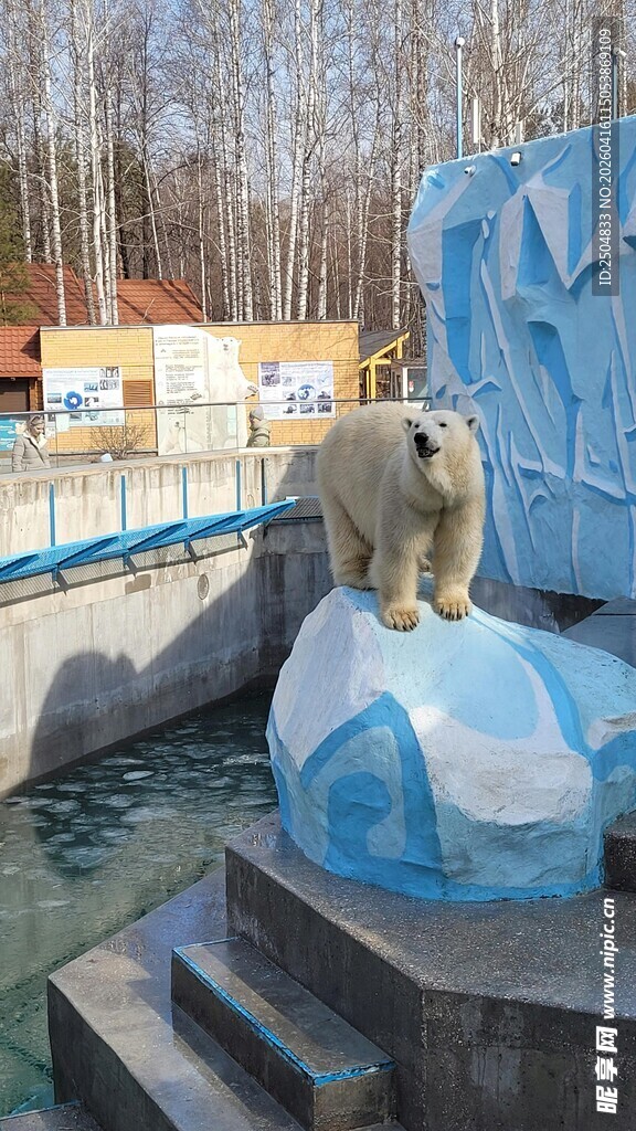 北极熊立于蓝色冰块上