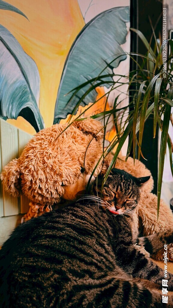 猫咪依偎在绿植旁休息