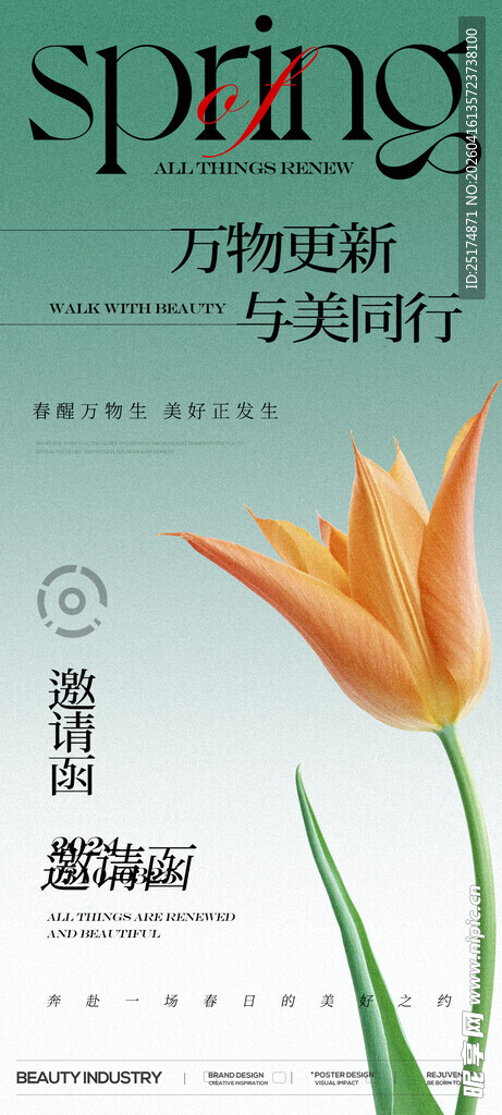 春日单枝郁金香海报