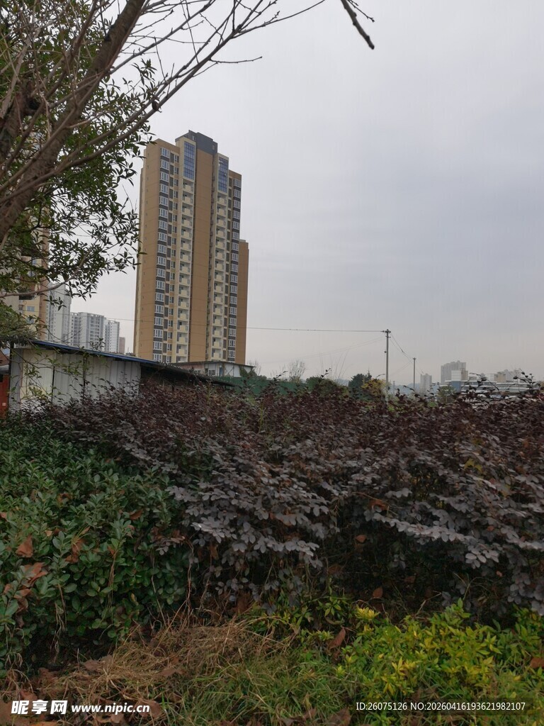 城市边的荒地与高楼景象