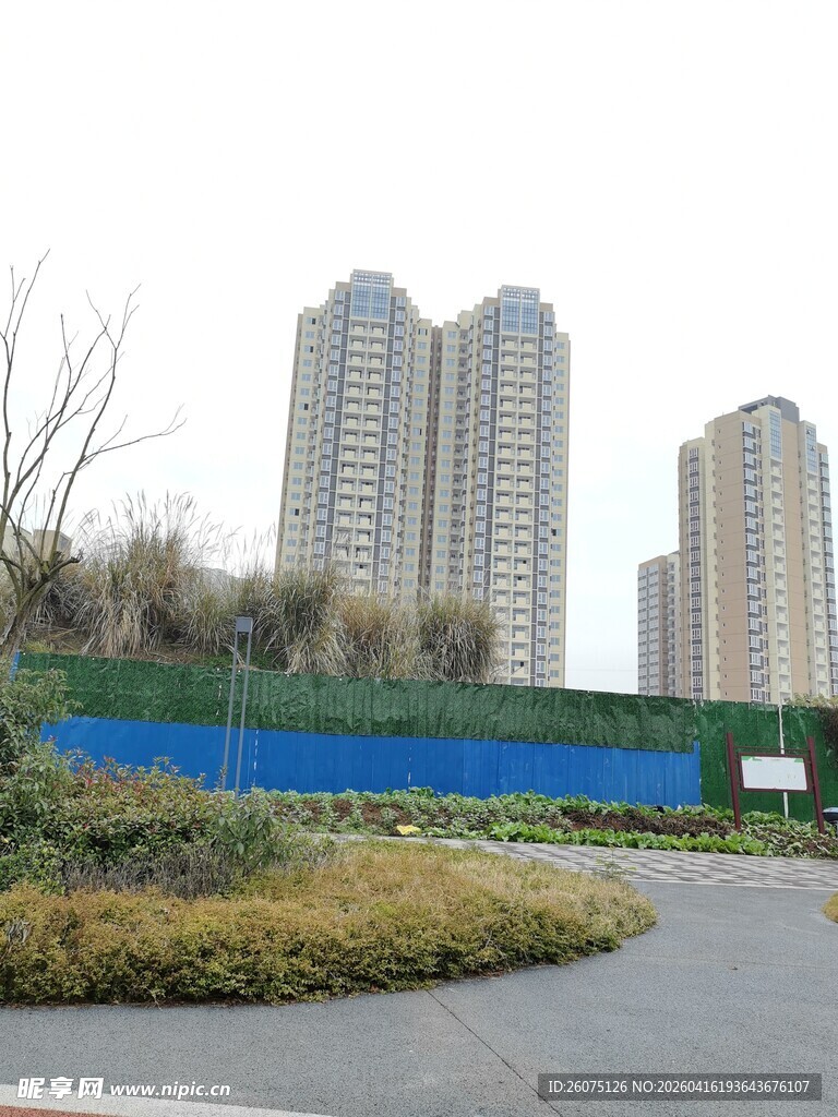城市道路旁的高楼景观