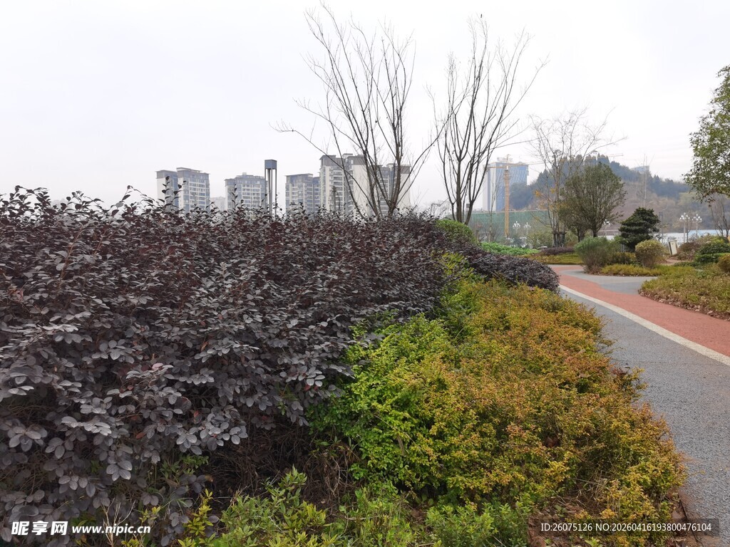 路边多彩植物景观
