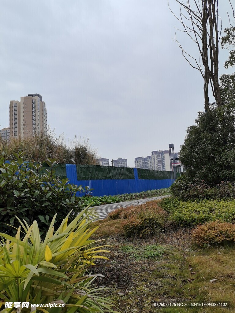 城市中的绿植与建筑景观