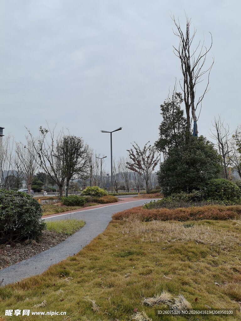冬日郊外小路风景