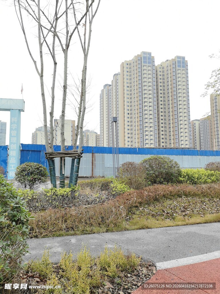 城市街边绿化景观风貌